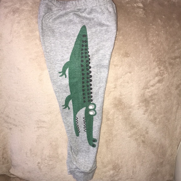 Schmoopy 5years grey/green 🐊 sweats - Picture 2 of 5